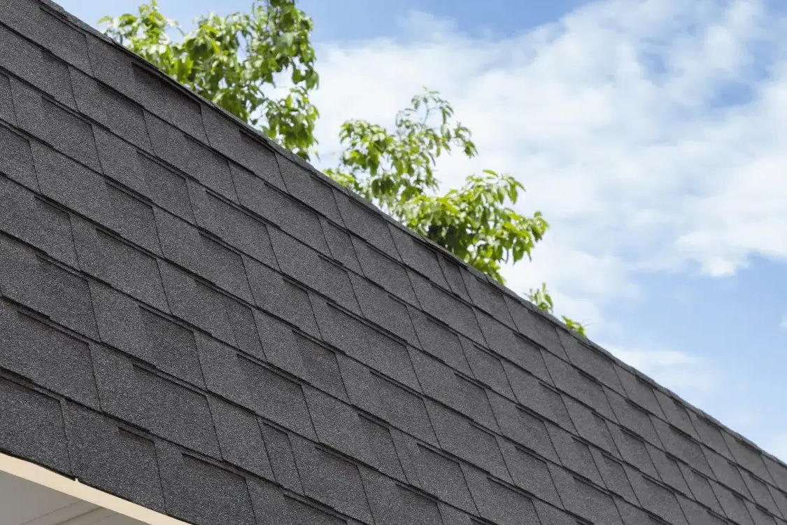 Asphalt Shingle Roof Installation