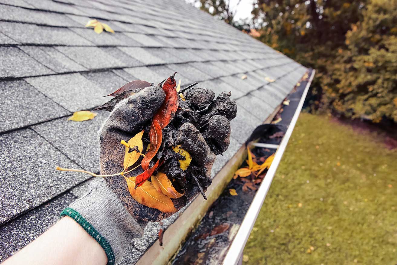 Gutter Cleaning Service