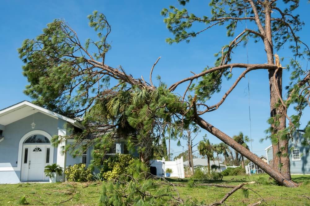 Storm Damage Inspection