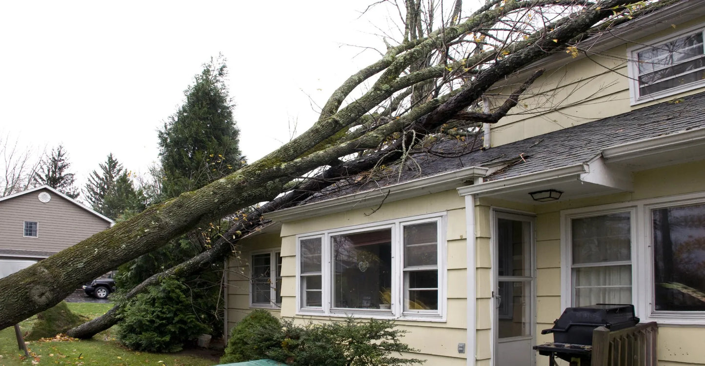 Storm Damage Inspection